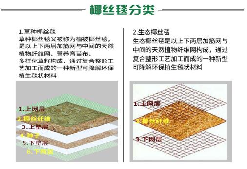 椰丝毯在实际护坡工程中的应用