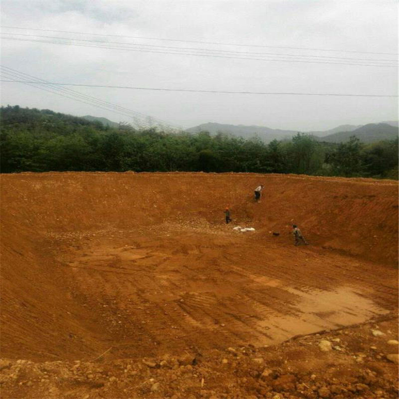 鱼塘黑膜 黑膜沼气池、氧化塘设计施工方案